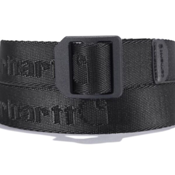 Carhartt Kids Nylon Webbing Ladder Lock Belt