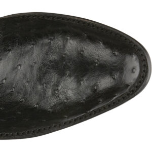 The toe shape of a Tony Lama McCandles 13