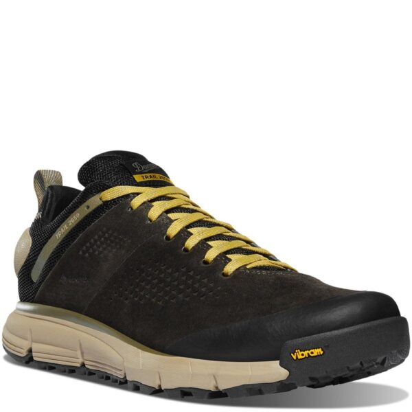 A 3/4 turned Danner Men's Trail 2650 Mid GTX Waterproof Hiking Shoe.