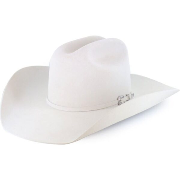 A 3/4 turned Resistol 20X Tarrant Silver Belly Cowboy Hat.