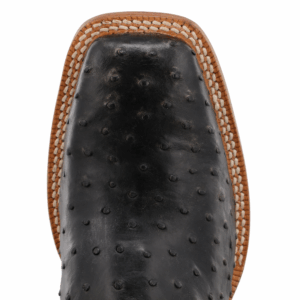 An overhead look at the Twisted X Men's Black Ruff Stock Full Quill Ostrich Western Boot.