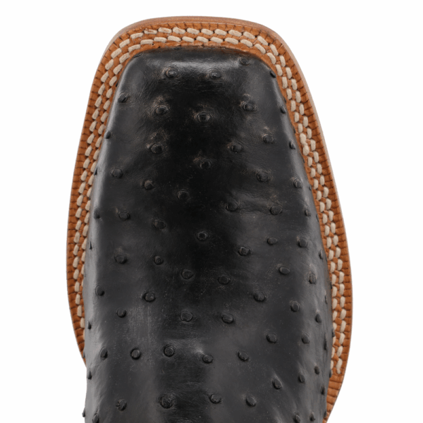 An overhead look at the Twisted X Men's Black Ruff Stock Full Quill Ostrich Western Boot.