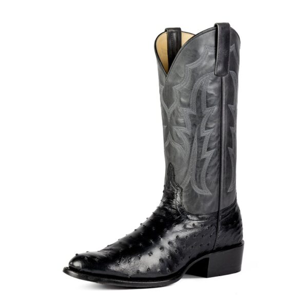 Anderson Bean Horse Power Top Hand Black Full Quill Ostrich Men's Western Boot.