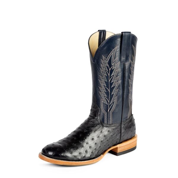 Anderson Bean Horse Power Top Hand Black Full Quill Ostrich Men's Western Boot.