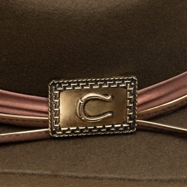 A closeup look at the Charlie 1 Horse stud on a Songbird Felt Western Hat.