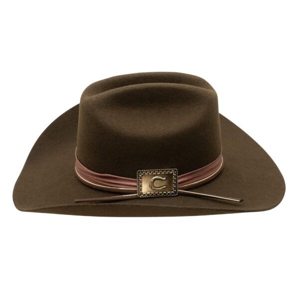 A profile look at the Charlie 1 Horse Songbird Felt Western Hat.