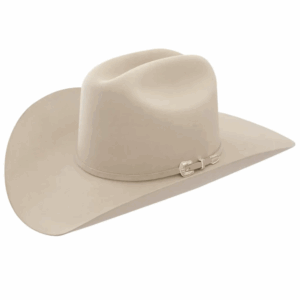 A 3/4 turned profile look at a Stetson Skyline 6X Silverbelly Cowboy Hat.