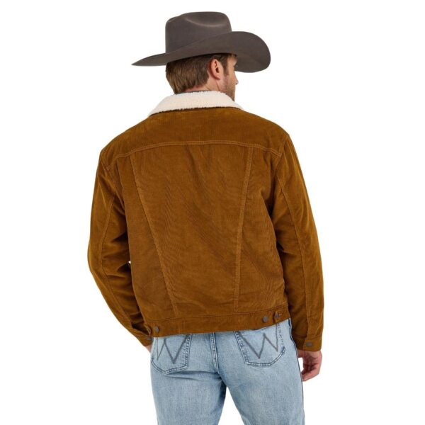 A modeled, back facing look at the Wrangler Men's Cowboy Cut Sherpa Lined Corduroy Jacket.